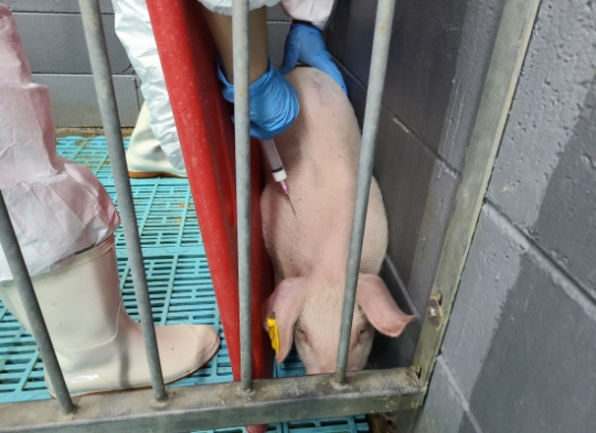 이미지