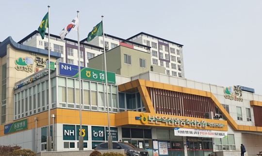 이미지