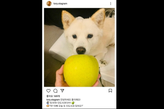 이미지