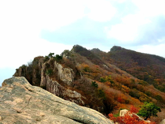 이미지