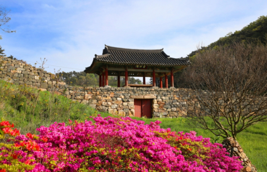 이미지