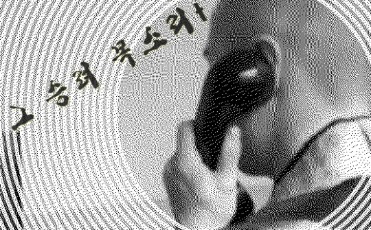 이미지