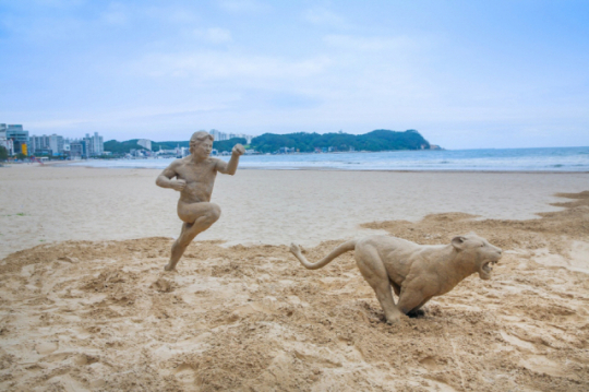 이미지