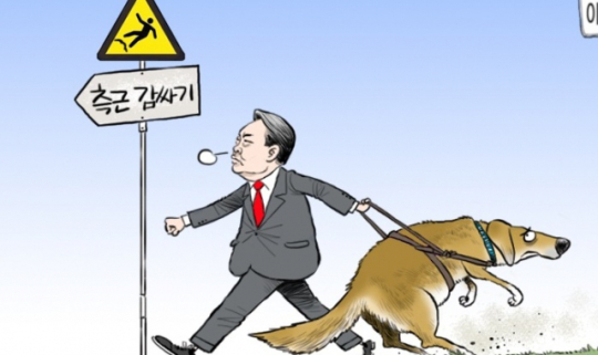 이미지