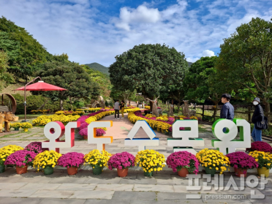 이미지