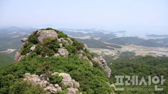 이미지