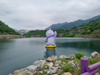이미지