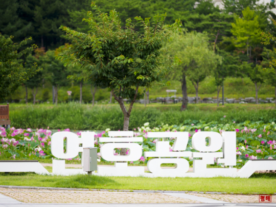 이미지