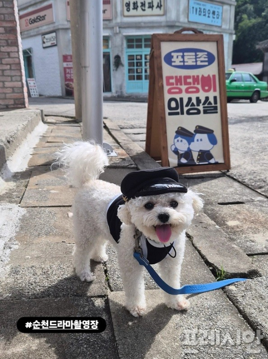 이미지