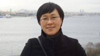 이미지