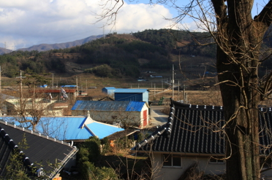 이미지
