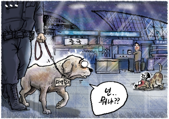이미지